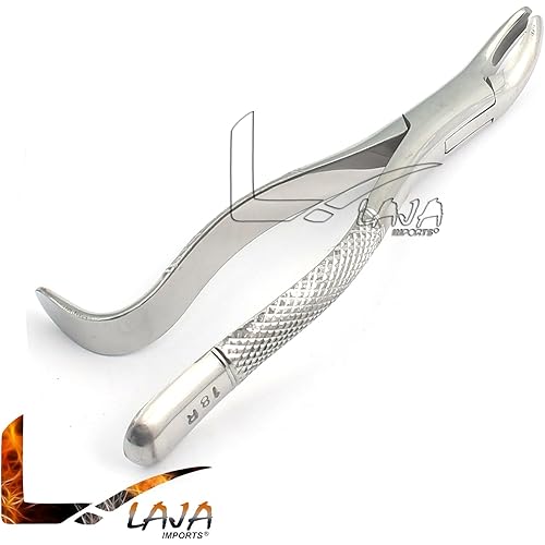 LAJA IMPORTS 1PC Dental Instrument 18R EXTRACTING Forceps Stainless Steel
