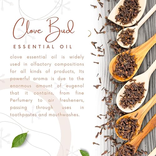 Natural Riches Pure Clove Essential Oil 4 Fl Oz, Therapeutic Grade for Tooth Ache Soothes Sore Muscles Clove Bud Oil Essential Oil for Teeth, Gums, Toothache, Skin Use and Hair Care
