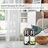 PHATOIL Top 10 Fruity Essential Oils with Nice Gift Box, 10ML Premium Quality Fragrance Oil for Diffuser DIY Soap Candle Making, Ideal for Home Office Car Use