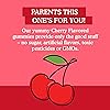 Garden of Life Kids Immune Support Gummies with Vitamin C, D as D3 & Zinc for 3-in-1 Daily Children’s Immunity – Organic, Non-GMO, Gluten-Free, Vegetarian, Sugar Free, Cherry Flavor, 30 Day Supply