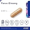 Pure Encapsulations - Panax Ginseng - Hypoallergenic Supplement Helps The Body Adapt to Occasional Physical Stress - 120 Capsules