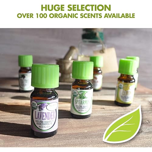 Healing Solutions Organic 10ml Oils - Ginger Essential Oil - 0.33 Fluid Ounces
