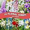 Bakery and Floral Fragrance Oils, Holamay Scented Oils Set for Soap & Candle Making Scents 10 Packs of 5ml, Aromatherapy Essential Oils for Diffuser - Creamy Vanilla, Gingerbread, Rose, Jasmine and