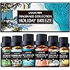 Fragrance Essential Oil - Organic 6pc Holiday Breeze Scent Gift Set - Perfect for Candle Making, Soap Scents, Slime - Oils for Diffuser, Humidifier, Aromatherapy, Aroma Beads, Car Freshener 10mL