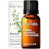 Gya Labs Melissa Essential Oil 10ml - Sweet, Herbaceous Scent