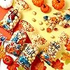 200 Pack Thanksgiving Cellophane Bags Fall Plastic Candy Bags with 200 Pieces Twist Tie Autumn Pumpkin Maple Leaves Goodie Bags Thankful Treat Bags Fall Harvest Snack Bags for Thanksgiving Party Favor