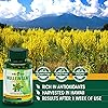 KIKI Green Mullein Leaf Herb Capsules -1000 mg Herbal Lung Cleanse, Respiratory and Lung Health, Lung Detox for Smokers, Mullein Tea Bags for Lungs | 90 Vegan Pills