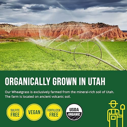 Organic Wheatgrass Juice Powder - Organic Lemon Flavor - Grown in Volcanic Soil of Utah - Raw & BioActive Form, Cold-Pressed Then CO2 Dried - Dietary Supplement - 6.2 oz