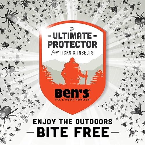 Ben's 30 Insect Repellent Spray 6 oz Pack of 2