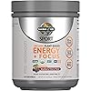 Garden of Life Sport Organic Plant-Based Energy Focus Vegan Clean Pre Workout Powder, Sugar & Gluten Free BlackBerry Cherry with 85mg Caffeine, Natural NO Booster, B12, 40 Servings, 8.14 Oz