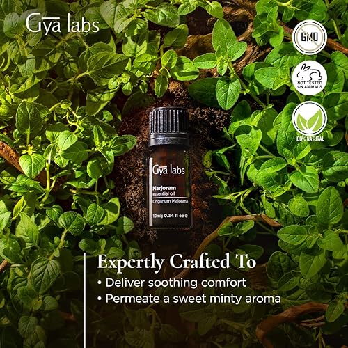 Gya Labs Marjoram Essential Oil 10ml - Sweet, Minty Scent