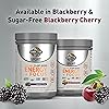 Garden of Life Sport Organic Plant-Based Energy Focus Vegan Clean Pre Workout Powder, Sugar & Gluten Free BlackBerry Cherry with 85mg Caffeine, Natural NO Booster, B12, 40 Servings, 8.14 Oz