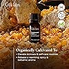 Gya Labs Organic Frankincense Essential Oil 10ml - Warm & Peaceful Scent