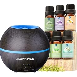Top Essential Oil Set with Diffuser Bundle - Diffusers with Auto Shut-Off Function, Safe & Effective, Essential Oil Diffusers for Home Office Yoga, Fresh Air, Adjustable Mist Mode