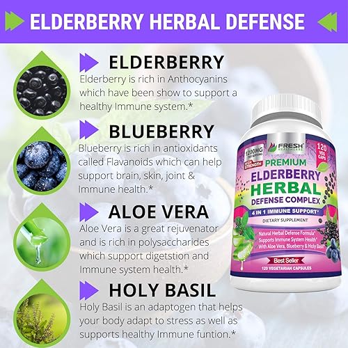 Premium Elderberry Capsules 1200mg Complex - 4 in 1 Immune Support Supplement with Aloe Vera, Blueberry & Holy Basil - Non GMO Plant Based, Gluten Free - 120 Vegan Capsule Pills for Men & Women