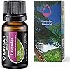 Lavender Essential Oil - Therapeutic Grade - Aromatherapy Natural & Pure Lavender Oil 10ml - Ideal for Diffuser, Skincare, Relaxation, Wellness - High European Quality essential oils by O'linear
