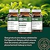 Gaia Herbs Professional Solutions Daily Liver Formula 60 lvcaps