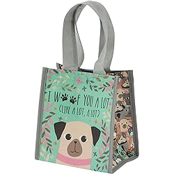 Karma Gifts, Recycled Reusable Small Gift Bag with Handles, Dog