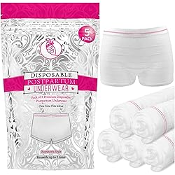 Ninja Mama Disposable Postpartum Underwear Without Pad With Storage Pouch. Washable Mesh Panties for Women 5 Count. Labour and Delivery Maternity Surgical and C Section Hospital Bag - One Size