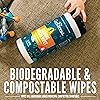 Aunt Fannie's Whole Home Cleaning Bundle: All Purpose Spray, Floor Cleaner, Glass & Window Cleaner, Multi-Surface Wipes, Carpet Refresher