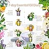 PHATOIL Essential Oils Top 15 Gift Set - Pure Essential Oils for Diffuser, Humidifier, Massage, Aromatherapy - 5MLBottle