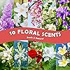 Coffee Shop and Floral Fragrance Oils, Holamay Scented Oils Set for Soap & Candle Making Scents 10 packs of 5ml, Aromatherapy Essential Oils for Diffuser - Espresso, Cafe Mocha, Rose, Jasmine and Mo