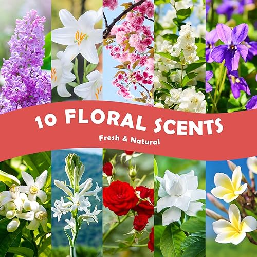 Fruity and Floral Fragrance Oil, Holamay Scented Oils Set for Soap & Candle Making Scents 10 Packs of 5ml, Aromatherapy Essential Oils for Diffuser - Coconut, Strawberry, Rose, Jasmine and More