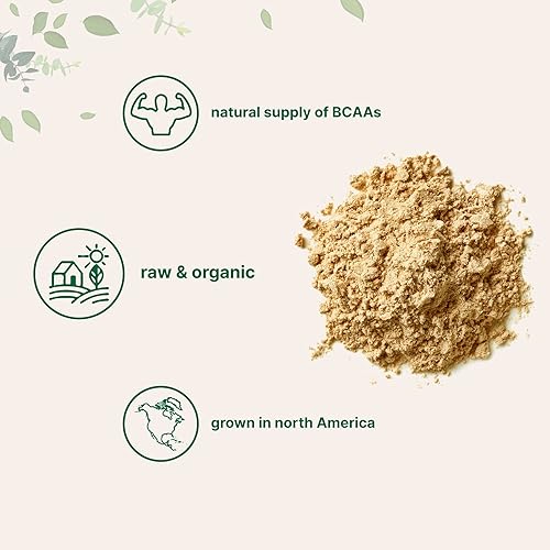 North America Grown, Organic Pea Protein Powder, 1KG 2.2 Pounds, Plant-Based Vegan Protein Organic, Rich in Branched Chain Amino Acids, Flavonoids and Minerals, No GMOs & Vegan Friendly