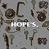 Hope’s Premium Metal Care Brass Polish and Cleaner, Shines and Prevents Tarnish, Safe for Brass, Copper, Chrome, Sterling Silver, 8 oz, Pack of 1