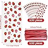 100 Pieces Strawberry Cellophane Treat Bags Strawberry Birthday Party Favors Bags Plastic Goodie Treat Candy Bags with 150 Pieces Red Twist Ties for Kids Girls Strawberry Birthday Party Decorations