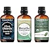 Natural Riches Immunity Blend Set with Five Guards Essential Oils Plus Breathe Easy Essential Oils and Organic Eucalyptus