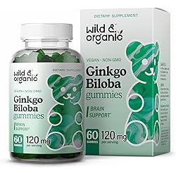 Wild & Organic Ginkgo Biloba Gummies - Brain Supplement & Mental Support Gummy for Better Mood & Focus - Energy Booster & Blood Circulation Herbal Supplements - Vegan Non-GMO - 120mg, 60 Chews