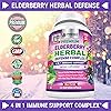 Premium Elderberry Capsules 1200mg Complex - 4 in 1 Immune Support Supplement with Aloe Vera, Blueberry & Holy Basil - Non GMO Plant Based, Gluten Free - 120 Vegan Capsule Pills for Men & Women