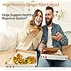 Doctor's Best High Potency Ginger with Gingever, Digestive Health, Motion Sickness & Support Gastrointestinal Health, 250mg, 60 VC