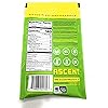 Ascent Organic Vanilla Bean Plant Protein Single, 1.27 OZ