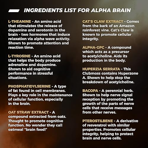 ONNIT Alpha Brain 30ct 3-Pack - Over 1 Million Bottles Sold - Premium Nootropic Brain Supplement - Focus, Concentration Memory - Alpha GPC, L Theanine & Bacopa Monnieri
