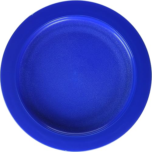Sammons Preston Plate with Inside Edge, 9 Plate with Food Spill Prevention Aid, Durable Plates with Inner Lip, Eating Support for Children, Adults, Elderly and Disabled, Polypropylene, Blue