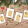 300 Pieces Christmas Tag Stickers 2 x 3 Inch Adhesive Kraft Paper Present Labels Assorted Present Wrap Stickers Decorative Christmas Stickers for Holiday DIY Seals Cards Present Decor, 4 Designs