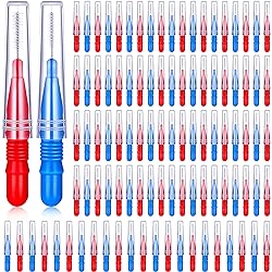 100 Pieces Braces Dental Brush Flosser for Cleaner Interdental Brush Toothpick Dental Tooth Flossing Head Oral Dental Hygiene Toothpick Cleaners Cleaning ToolRed and Blue