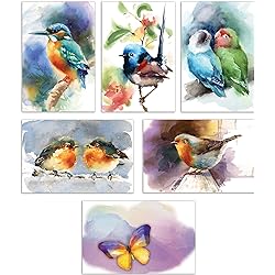 50-Pack All Occasion Greeting Cards Box Set, 4 x 6 inch, 50 Assorted Blank Note Cards & 50 Envelopes, 6 Butterfly & Birds Designs, Blank Inside, by Better Office Products, 50 Pack