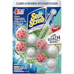 Soft Scrub 4-in-1 Toilet Care with Bleach, Alpine Fresh, 100 Gram