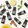 Cliganic USDA Organic Peppermint Essential Oil, 100% Pure Natural Undiluted, for Aromatherapy | Non-GMO Verified