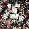 32 Pack Holiday Merry Christmas Pocket Facial Tissues Christmas Travel Size Tissues Bulk in 2 Designs Christmas Facial Tissue Small Pocket Packs for Christmas Stocking Stuffers