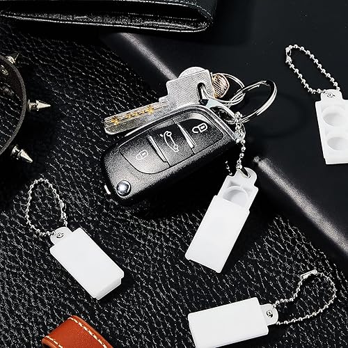 10 Pieces Hearing Aid Battery Case 312 Hearing Aid Batteries Caddy Hearing Aid Amplifier Storage Box Plastic Battery Holder Portable Travel Case Pocket Carry Box with Keychain